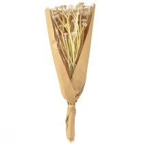 Prodotto Fiori artificiali di fiori di paglia italiani rosa L28 cm