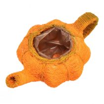 Prodotto Brocca per piantare decorazioni di zucca arancione/giallo-verde Ø13cm