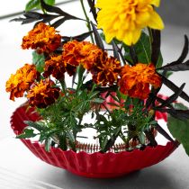 Prodotto Aiuto creativo per composizioni floreali con spilli in ottone per Ikebana e composizioni floreali