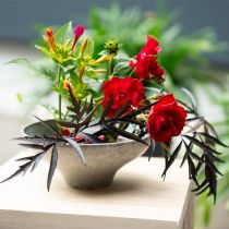 Prodotto Riccio rotondo in ottone per composizioni floreali e ikebana