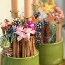 Prodotto Portacandele a corona dorato, portacandele a bastoncino in metallo 4 pezzi