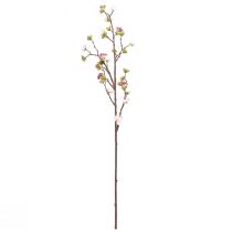 Prodotto Ramo di fiori di ciliegio rosa 95 cm