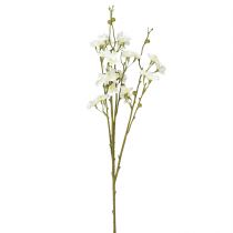 Prodotto Rami di fiori di ciliegio Fiori di ciliegio artificiali bianchi 75 cm 3 pz