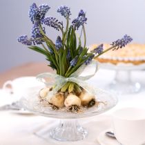 Prodotto Piatto torta in vetro classico con piede - Elegante per ogni festa Ø 20cm