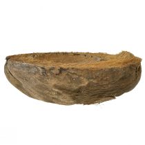 Prodotto Fioriera in cocco, naturale, 20 cm, 5 pezzi