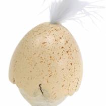 Pulcino nel guscio d&#39;uovo bianco, crema 6 cm 6 pezzi