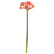 Prodotto Amaryllis artificiale rosa e crema – Fiore a stelo grande 76 cm