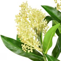 Prodotto Crema di fiori artificiali Skimmia japonica Skimmie 45 cm 2 pezzi