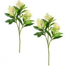 Prodotto Crema di fiori artificiali Skimmia japonica Skimmie 45 cm 2 pezzi