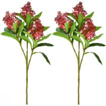 Prodotto Fiori artificiali Skimmia japonica rossa Skimmie 45cm 2pz