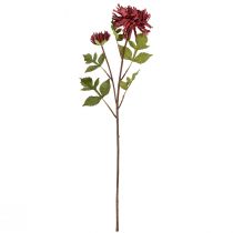 Prodotto Crisantemo artificiale bordeaux Ø5cm/Ø11cm L70cm