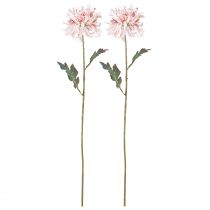 Prodotto Crisantemi artificiali rosa malva Ø13cm L72cm 2 pezzi