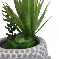 Prodotto Vaso di fiori succulenti artificiali Buddha Ø12cm H25cm