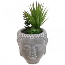 Prodotto Vaso di fiori succulenti artificiali Buddha Ø12cm H25cm