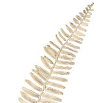 Prodotto Felce artificiale ramificata bianco crema piante artificiali L120cm