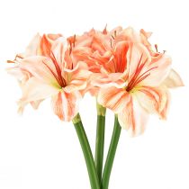 Prodotto Stella del cavaliere artificiale Fiori artificiali Amaryllis bianco rosso arancione 40 cm 3 pezzi