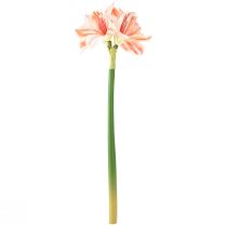 Prodotto Stella del cavaliere artificiale Fiori artificiali Amaryllis bianco rosso arancione 40 cm 3 pezzi