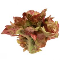 Prodotto Lattuga artificiale Lollo Rosso cespo decorativo Ø20cm