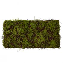 Prodotto Tappetino di muschio artificiale grande marrone verde 100×50 cm