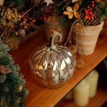 Prodotto Decorazione zucca in vetro decorazione da tavolo zucca in vetro arancione Ø14cm H18cm