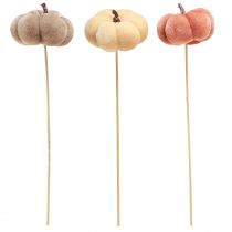 Prodotto Zucca decorativa in tessuto su bastoncino giallo marrone arancione Ø7cm 9 pezzi