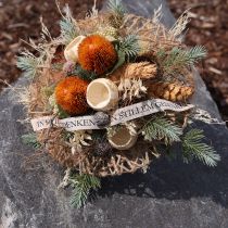 Prodotto Fiori artificiali, Banksia, Proteaceae Arancione L58cm H6cm 3 pezzi