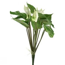 Prodotto Fiori artificiali, fiore di fenicottero, anthurium artificiale bianco 36 cm