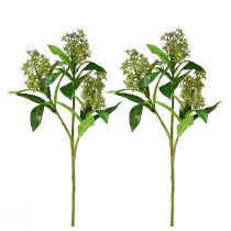 Prodotto Fiori artificiali verdi Skimmia japonica Skimmie 45 cm 2 pezzi
