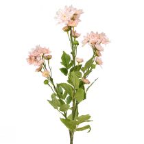 Prodotto Fiori artificiali Astri artificiali Fiori di seta Rosa 80 cm
