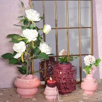 Prodotto Lanterna con motivo a foglie, alimentata ad energia solare, per un'illuminazione esterna suggestiva, 25 cm