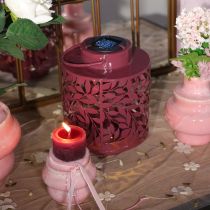 Prodotto Lanterna con motivo a foglie, alimentata ad energia solare, per un'illuminazione esterna suggestiva, 25 cm