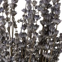 Prodotto Fiori secchi profumati di lavanda essiccati 35-40 cm 50 g