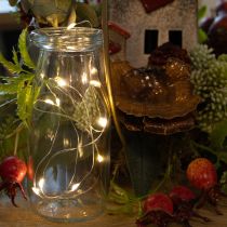 Prodotto Luci decorative a batteria per interni, luce bianca calda, 10 LED, lunghezza 1 m, 6 pezzi