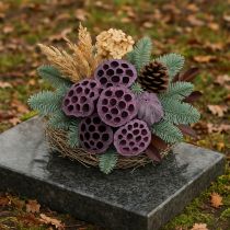 Prodotto Capsule di loto, floristica secca, bulbo di loto rosa, bianco lavato 50 pezzi
