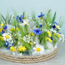 Prodotto Conchiglie marittime Capiz 5–10 cm, madreperla, articolo naturale 1 kg