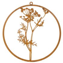 Prodotto Anello in metallo, metallo arrugginito, anello decorativo, decorazione da parete, rametto di aneto, Ø38cm
