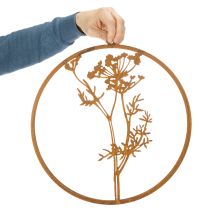 Prodotto Anello in metallo, metallo arrugginito, anello decorativo, decorazione da parete, rametto di aneto, Ø38cm