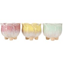 Prodotto Mini vaso in ceramica fioriera assortiti Ø8cm H7cm 3pz