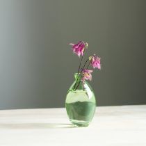 Prodotto Mini vasi in vetro a forma di bulbo, vasi in vetro colorato verde H12cm 6 pezzi