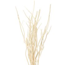 Prodotto Rami di Mitsumata bianchi 34-60cm 12 pz