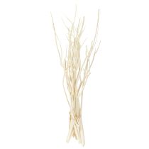 Prodotto Rami di Mitsumata bianchi 34-60cm 12 pz