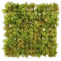 Prodotto Tappetino in muschio artificiale – perfetto per quadri di muschio verde chiaro 25×25 cm