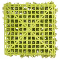 Prodotto Tappetino in muschio artificiale – perfetto per quadri di muschio verde chiaro 25×25 cm