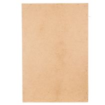 Prodotto Quadro con muschio, muschio e rametti veri e conservati, naturale, 60×40 cm