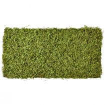 Prodotto Tappetino di muschio muschio artificiale per quadro muschio verde 100×50 cm
