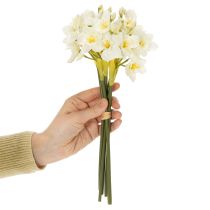 Prodotto Ramo di narciso per composizioni floreali stagionali, bellissimo, 33 cm, 6 pezzi