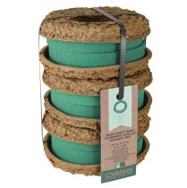 Prodotto OASIS® Biolit® Anello/Corona 17cm 6 pz