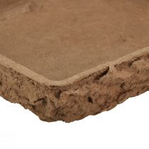Prodotto Sottofondo Oasis Biolit ½ mattone floreale in schiuma 13×13×2 cm 12 pz