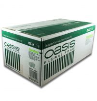 Prodotto OASIS® Plug-in moss maxlife Standard 20 mattoni