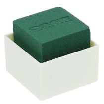 Prodotto OASIS® Tavolo Design 6cm Neo &amp; Viva 24 pz